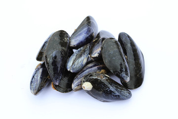 moules 02082016