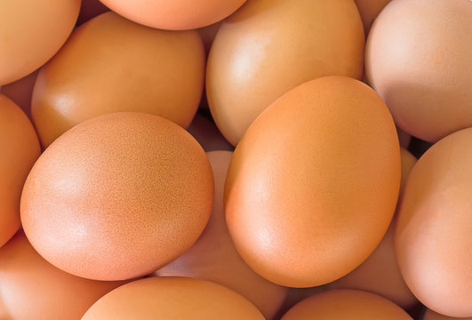 Group of Egg Background