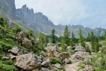 Labyrinthsteig am Latemar, Dolomiten, Südtirol