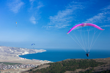 paragliders in flight over the sea coast