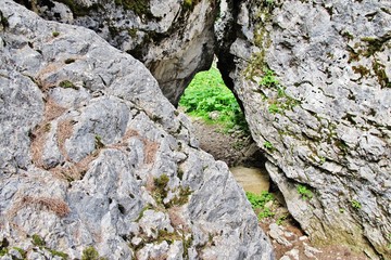 Labyrinthsteig am Latemar, Dolomiten, Südtirol