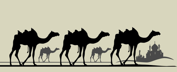 караван верблюдов на фоне мечети 