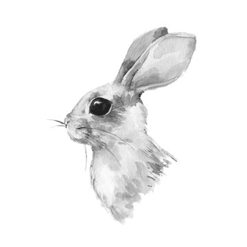 Cute rabbit. Watercolor illustration. Black and white bunny