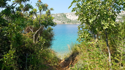 Weg zur Bucht / Insel Rab