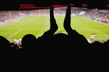 fans cheering soccer game 