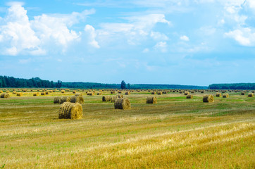 Fototapeta na wymiar haystacks on the field