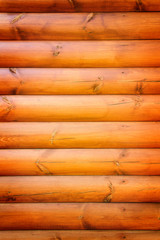 Wooden Texture Wall Background