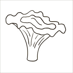 Cartoon contour mushroom isolated on white background. Chanterel