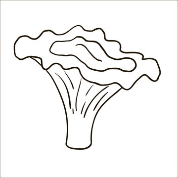 Cartoon contour mushroom isolated on white background. Chanterel