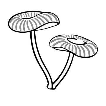 Cartoon contour mushroom isolated on white background.