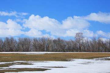 snow melt in the early spring