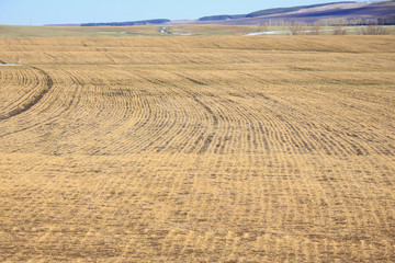 arable land after the melting snow