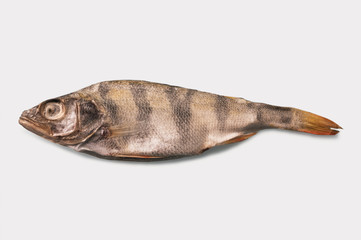 Dry dried fish isolated on white background. horizontal photo.