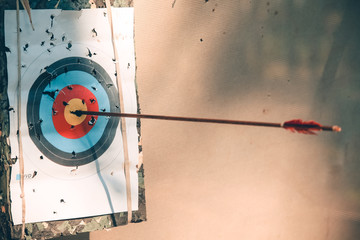 the arrow hit the target
