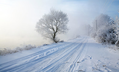 Obraz premium magical frost