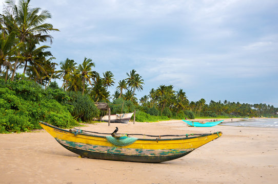 Green palms and fishermen's boats at empty beach in Weligama, Sr