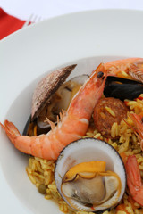 paella  02082016