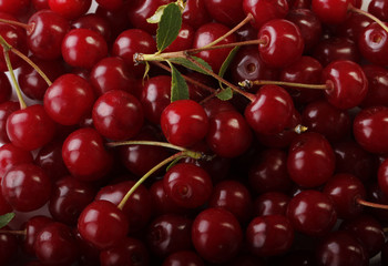 cherry background