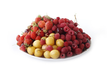 berries in plate isolated