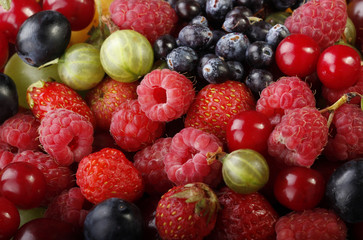 berries background