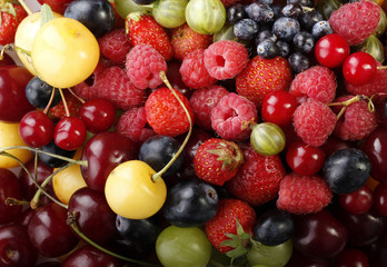 berries background