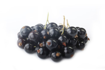 black currants isolated
