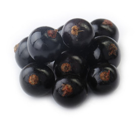 black currants isolated