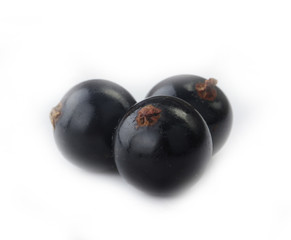 black currants isolated