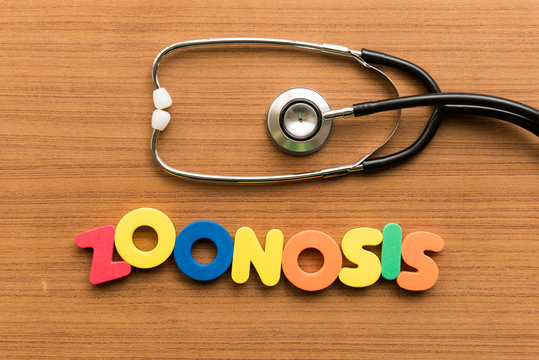 Zoonosis Colorful Word With Stethoscope