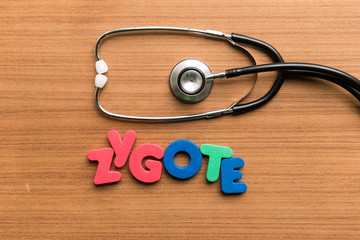 zygote colorful word with stethoscope