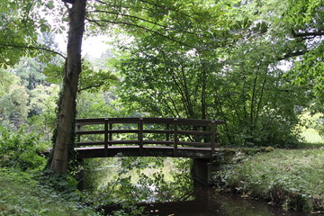 Brücke über Bach im Wald