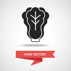 vegetables icon