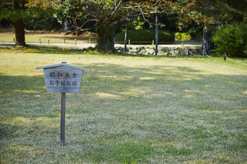 昭和天皇お手植松跡の看板