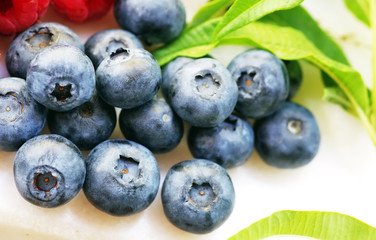 fresh blueberries on the White background