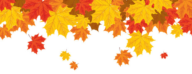print with autumn leaves
