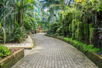 Concrete Pathway in garden