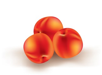 Delicious re peaches on white background