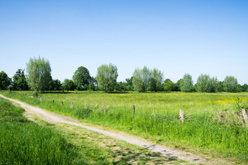 Hiking trail at Duisburg