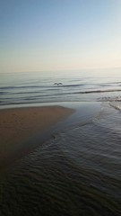 gabbiano che vola sul mare
