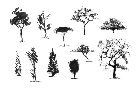 A set of several different trees. The black silhouette of a tree isolated on a white background. Trees painted with a brush in hand. The expressive technique.