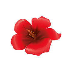 Nature garden decoraton concept represented by flower icon. Isolated and flat illustration