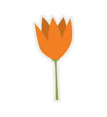 Nature garden decoraton concept represented by flower icon. Isolated and flat illustration