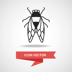 insect icon
