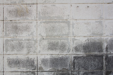 There are the brick wall. It is good background.