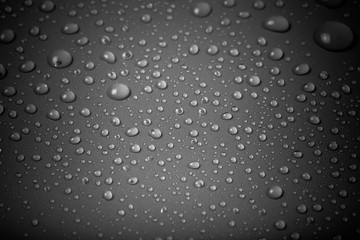 Drops of water on a color background. Gray. Shallow depth of fie