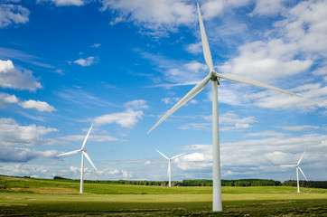 Wind Turbines in a Field and Blue Sky