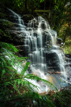 Fototapeta Waterfalls in Blue Mountains national park