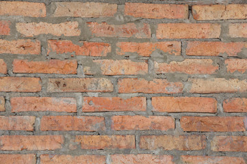 There are the brick wall. It is good background.