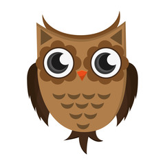 flat design owl cartoon icon vector illustration