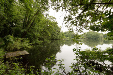 Fototapeta na wymiar Tranquil Lake View at Nettetal / Rhineland